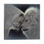 Lion Love by Collin Bogle - Print on Canvas-5729803-26527290