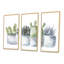 «Cactus and Succulent House Plants I», reproduction sur toile flottante 3 pièces-1364533994-1364533990