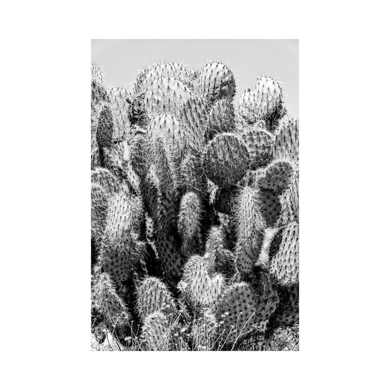 Cactus Stings 1 Piece Wrapped Canvas Wall Art, 101.6 cm H x 66.04 cm W x 1.91 cm D