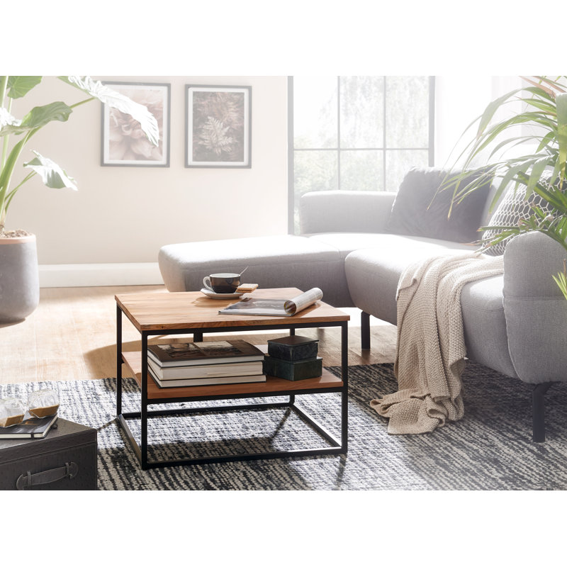 Regena Frame Coffee Table with Storage