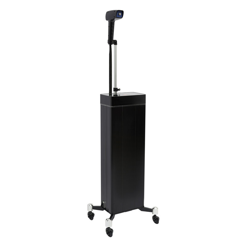 YXSUN 1200 Watt Nano Hair Steamer, Black