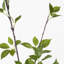 60'' Faux Ficus Tree in Cement Pot