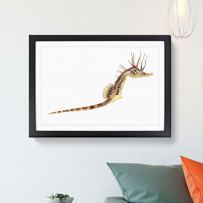 Illustration of a Seahorse by F.E. Clarke - Picture Frame Painting Print, Black Framed, 27cm H x 36cm W x 2cm D