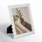 Photo Frame Resin Glass Scalloped Edge Polyresin Paper Accent Decorative Display Stand Casual Style Home Decor Classic Trim Detailing Vertical Horizontal Orientation Freestanding Lightweight Build