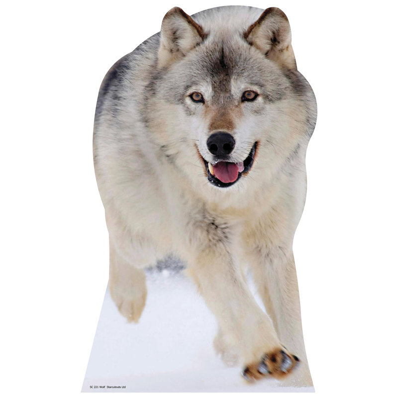 Wolf Cardboard Standup