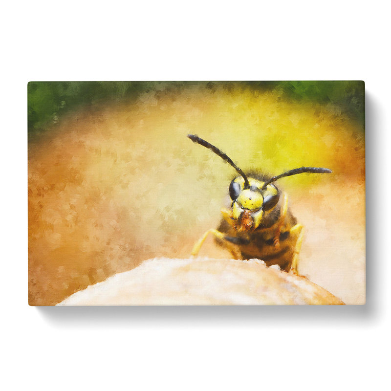 Wasp - Wrapped Canvas, 50cm H x 76cm W x 3cm D