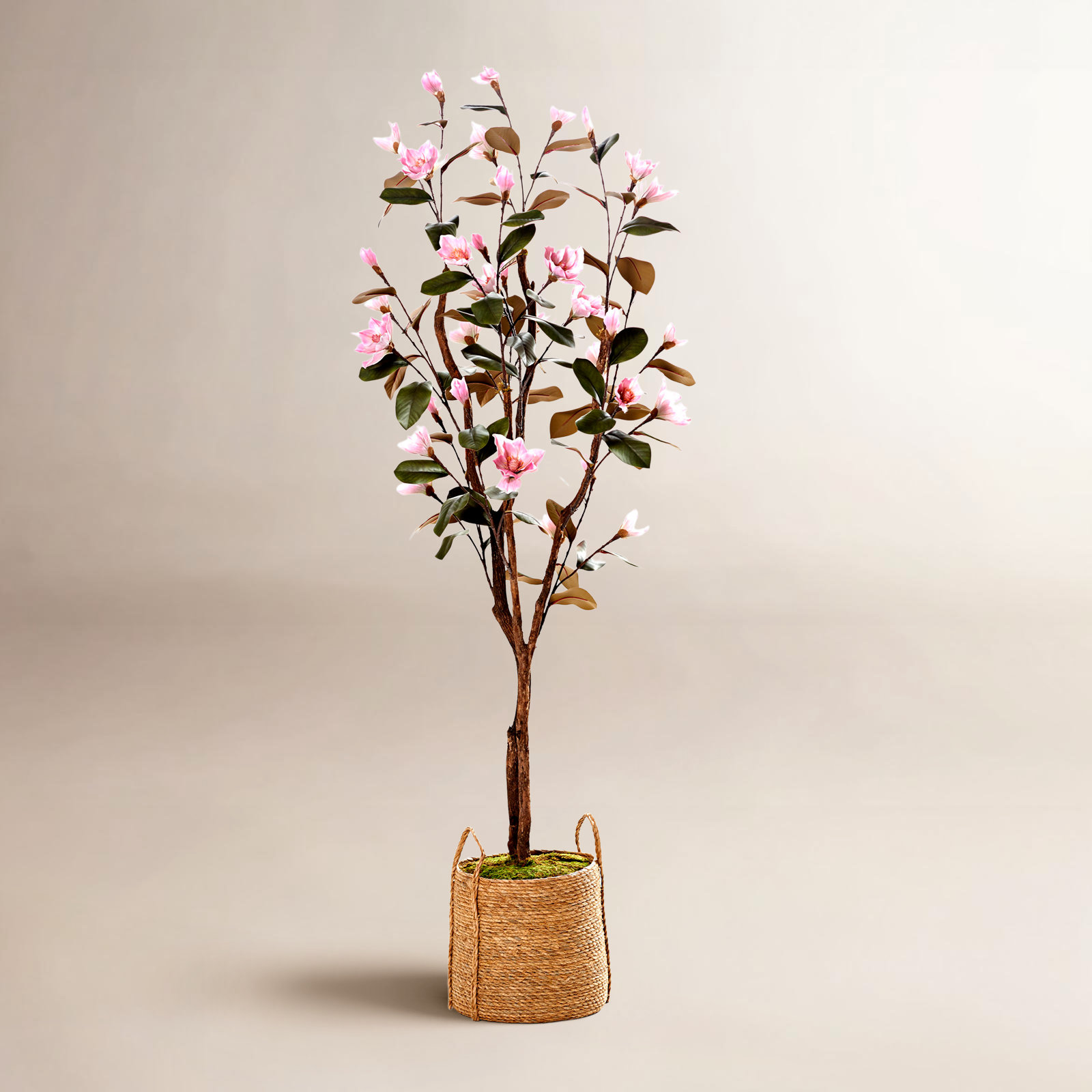 84" Magnolia Tree in Basket