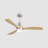 Laelah 52'' Ceiling Fan with LED Lights-1932931397-1932931396