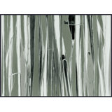 Black Forest Painting by Christopher Kennedy