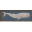 Baleine Moby Dick-742381915