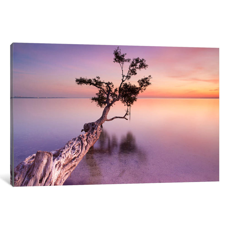 Water Tree XI by Moises Levy - Wrapped Canvas Print, 101.6 cm H x 66.04 cm W x 3.175 cm D