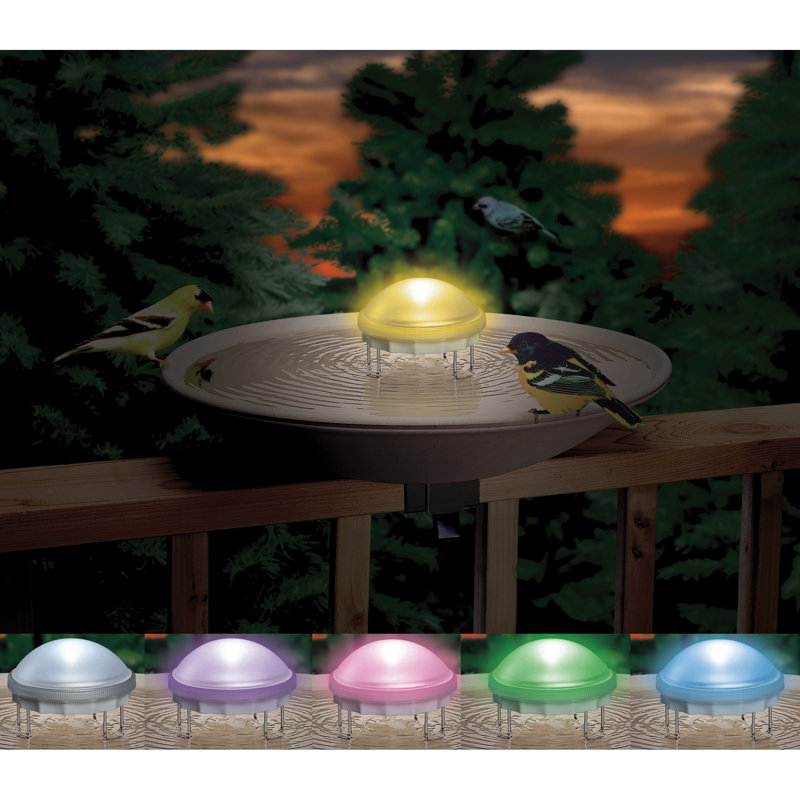 Tremblement d’eau illuminé aurora