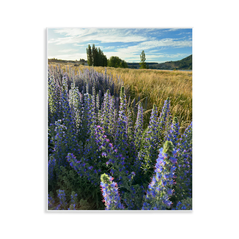 «Lavender Fields Landscape», art mural par Kali Wilson