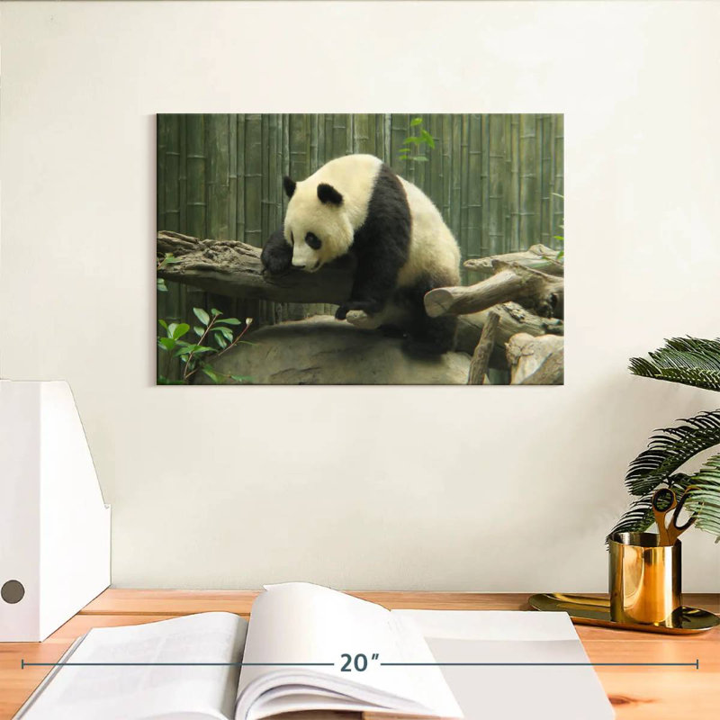 Panda Brampt sur un tronc