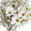 Daisy Arrangement-36910885