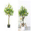 Anayeli Tree-689475020