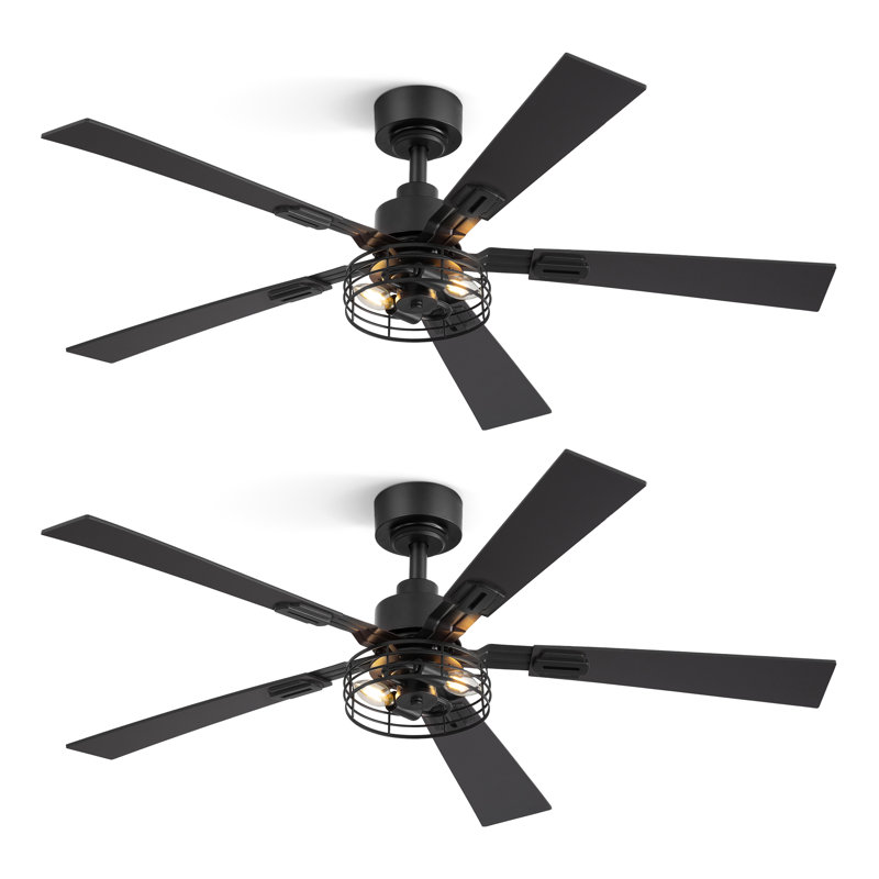 Cissline 2-Pack 48" Industrial Black Caged Ceiling Fan with Light Kit and Remote, 48"