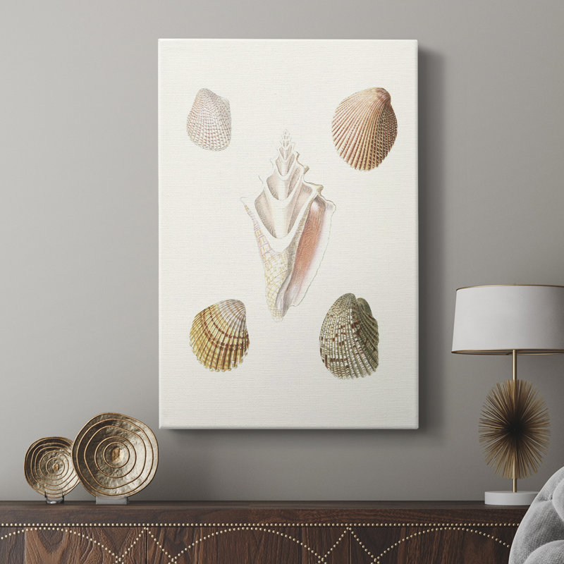 Pastel Knorr Shells, H 36 po x l 24 po