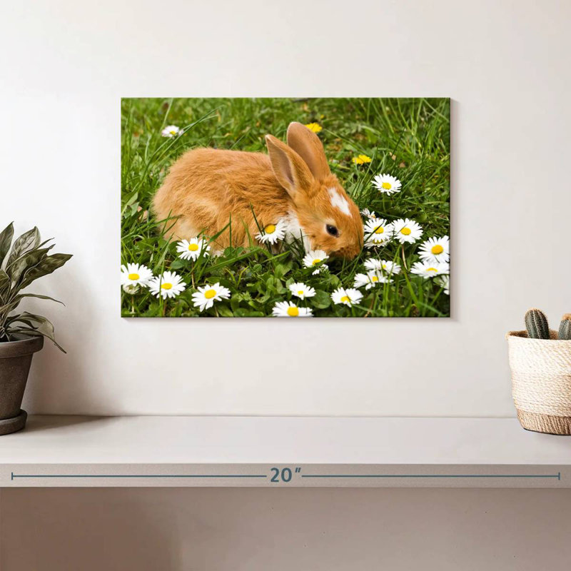 Brampt marguerites et lapin, H 8 po x l 12 po