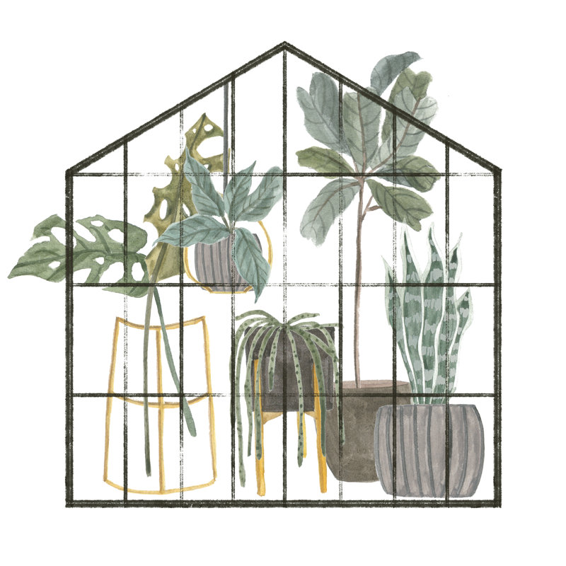 My Greenhouse II by Melissa Wang - Wrapped Canvas Print, 76cm H x 76cm W