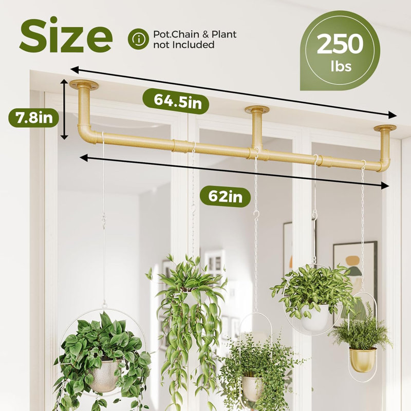 Support à plante pour plantes d'intérieur suspendues pour plantes d'intérieur Porte-plante à suspendre