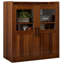Armoire de rangement avec portes et tablettes, buffet multifonctionnel, classeur de bureau, organisateur de crédence, pour salon, bureau, bureau