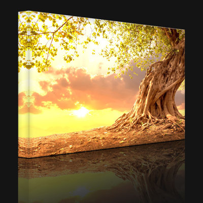 Rooted Strong Tree At Sunset by No - Wrapped Canvas Print