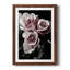 Rose noire I - photographie-1052725957-1052725962