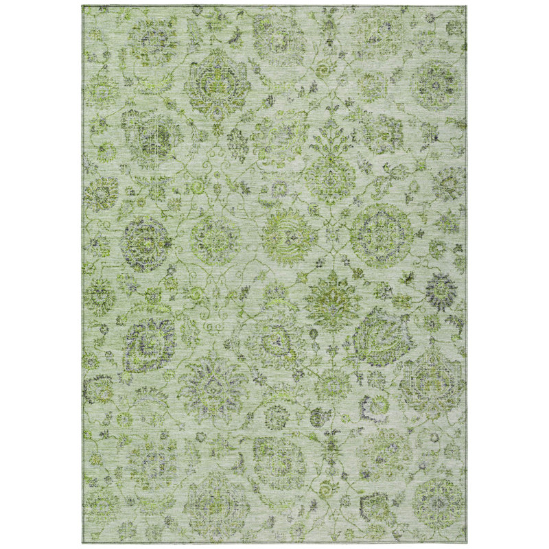 Machine Washable Indoor/Outdoor Xhevrie Aloe Rug, Rectangle 3' x 5'