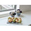 Adair Toile Sedum Bowl-1667597491