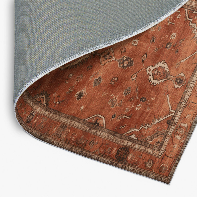 Overdyed Brown Indoor and Outdoor Area Rug, Rectangle 4' x 6'