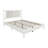 Paitynn Standard Bed-1002614396-1002614369