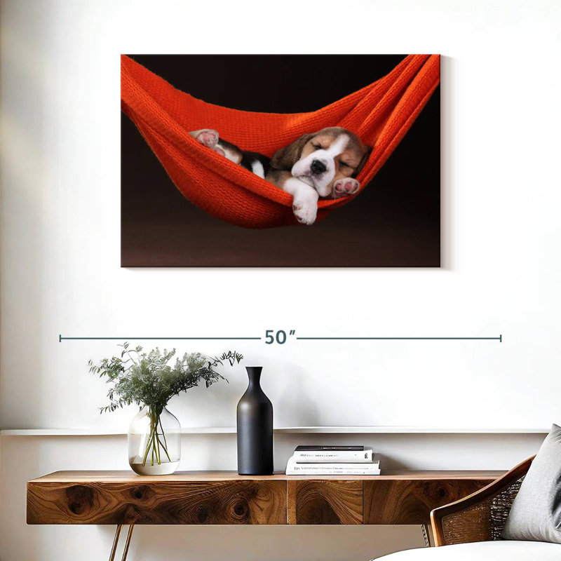 Brampt Beagle In Hammock