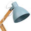 Aakash Adjustable Desk Lamp