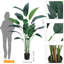 55'' Faux Fir Plant-903772913-903772915