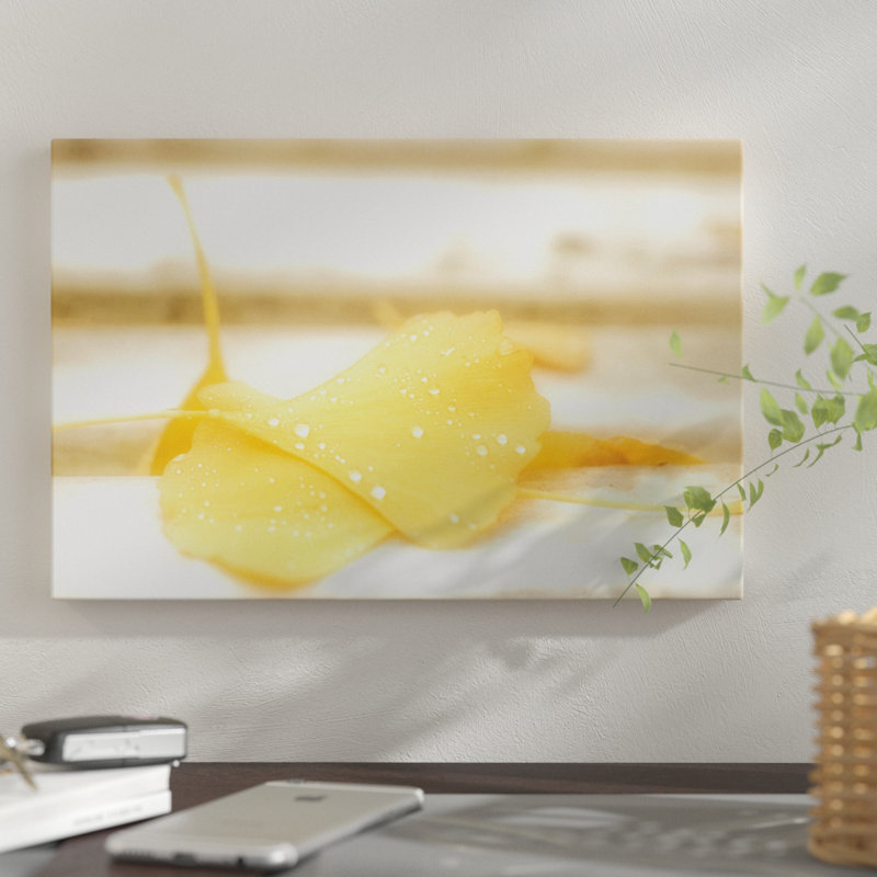 « yellow doux », reproduction de photo sur toile, H 12 po x l 18 po x P 1,5 po