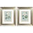 Rose Beauty Framed Art
