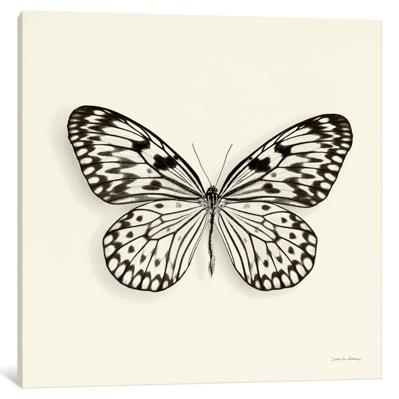 «Butterfly V in B&W», impression sur toile, H 12 po x l 12 po x P 1,5 po, Toile tendue, Pas de tapis
