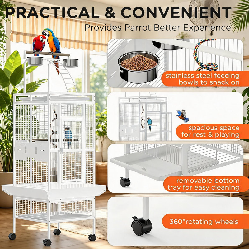 Bird Cage