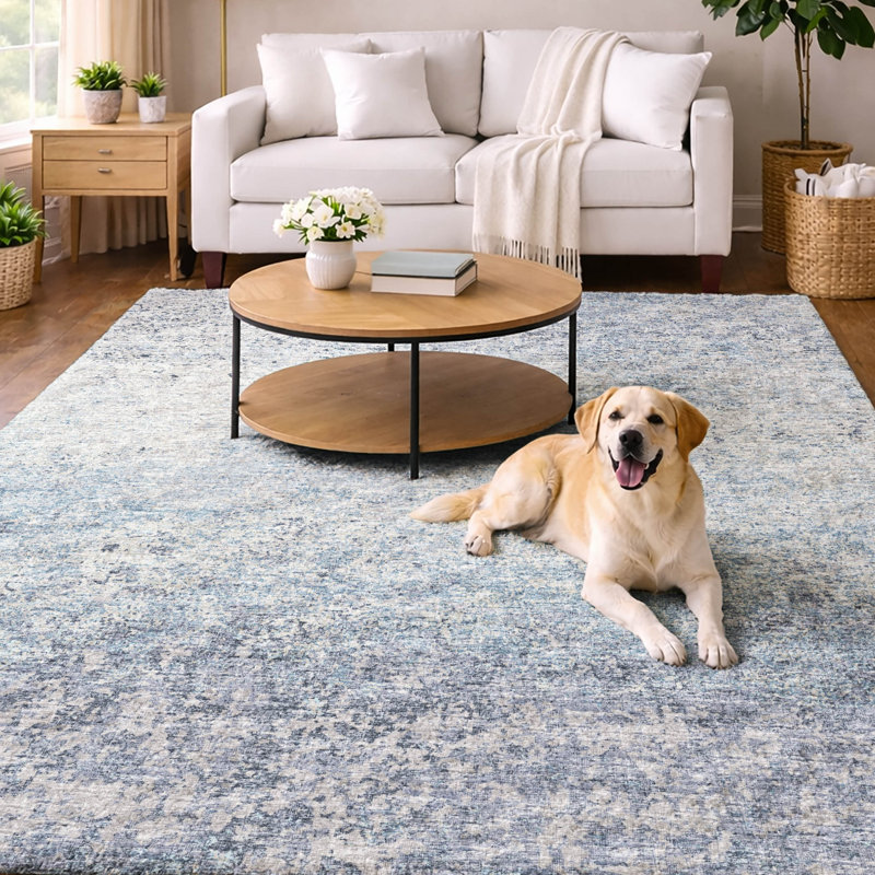 Tapis à poils longs de qualité supérieure lavable à la machine Dream Dream, Bleu, 5 pi x 7 pi 6 po