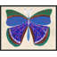 Butterfly Blue Print by Paule Marrot-626232865-626232864