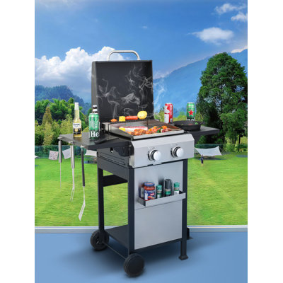 Barbecue au propane à 2 brûleurs, SS Plancha, puissance de 24 600 BTU avec grilles de cuisson en émail pour barbecue, table d'appoint pliable, panier suspendu, acier inoxydable