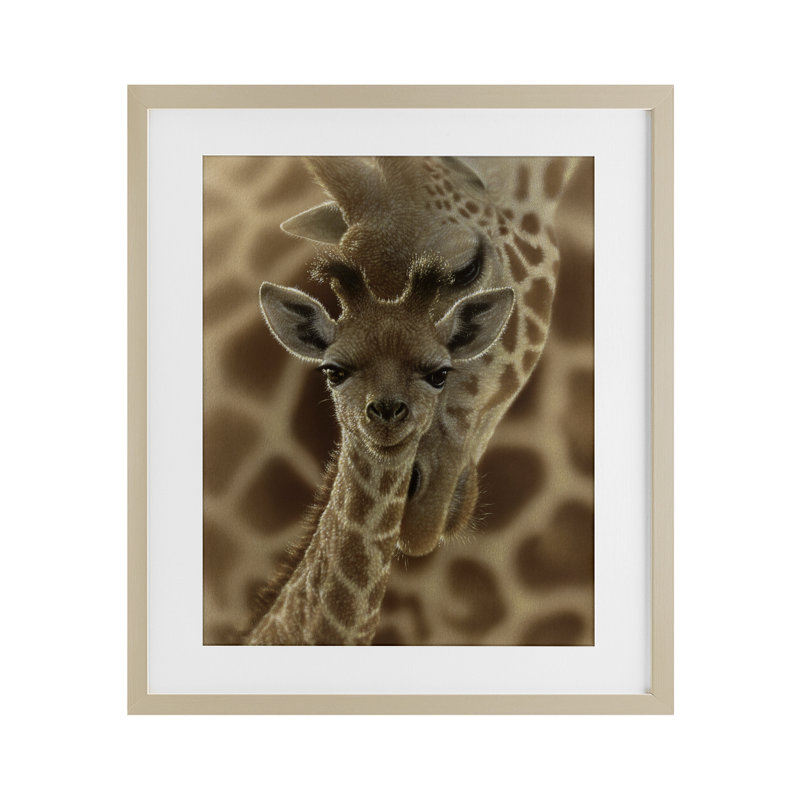 «Newborn Giraffe Calf», reproduction sous verre, conception de Collin Bogle, Cadre de récolte en pin, H 21 po x l 17 po