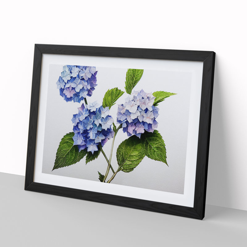 Hydrangea Flowers Vol.1 - Framed Print, Black, 46cm H x 64cm W x 2cm D