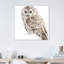«Forest Friends III» par Lisa Audit - reproduction d'art-53043400-53043398-53043399