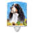 Black Springer Spaniel