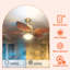 Ventilateur de plafond 52 "avec feuilles de palmier tropical avec lumière