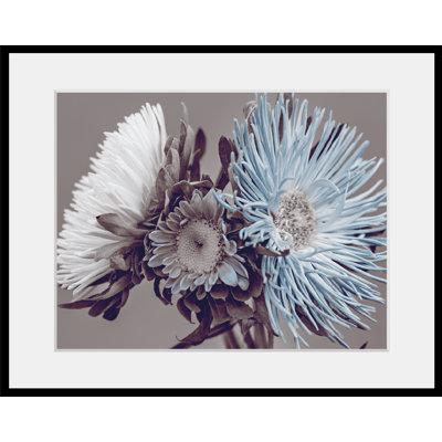 Rose - Single Picture Frame Print