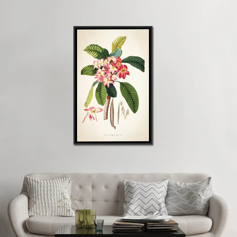 «Plumeria Botanical Print», impression sur toile, H 26 po x l 18 po x P 1,5 po, Toile encadrée noire, Pas de tapis