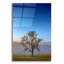 Art mural en verre Latitude Run «Autumn Glow» par Rick Berk-1397942514